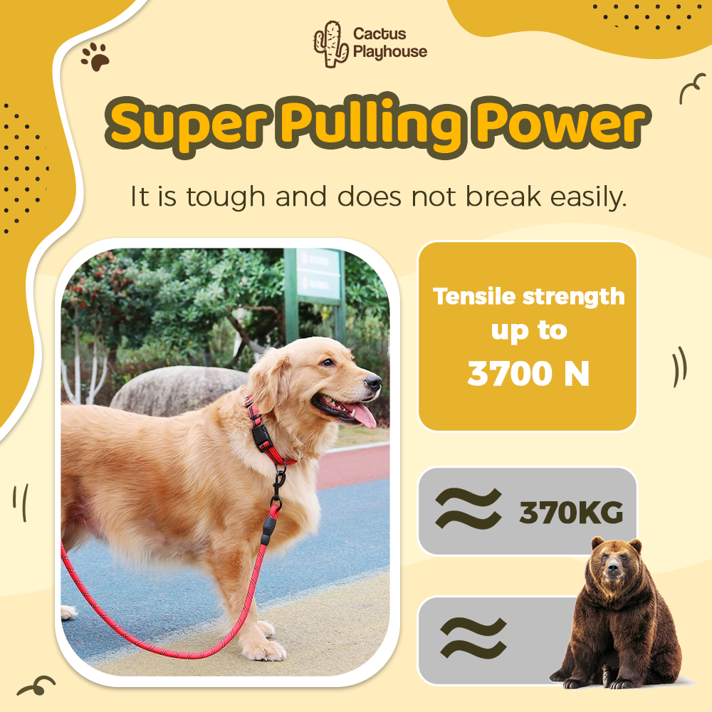 Nylon Training Dog Leash Heavy Duty Rope Handle Lead Strong Pet Long