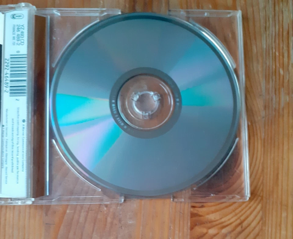 Tanita Tikaram - We Almost Got It Together - Bild 3 von 4