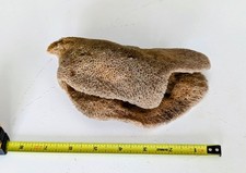 Full Decorative Natural Sea Sponge XL nautical 6" Unbleached Florida Keys