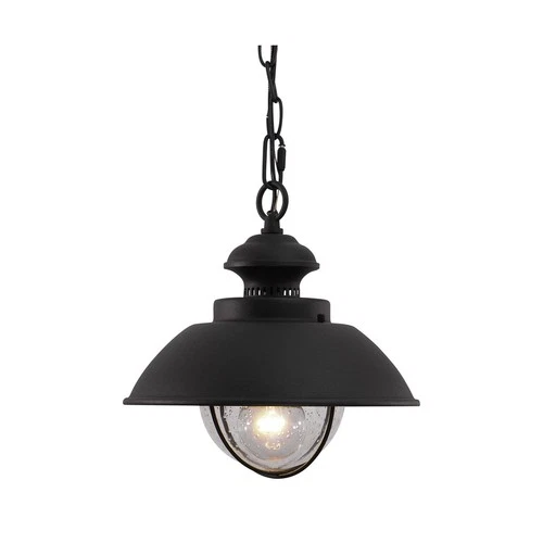 1-Light Black Coastal Barn Dome Pendant, Outdoor, Clear Glass - Picture 1 of 9