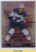2024-25 O-Pee-Chee Platinum Sunset Jake Neighbours #33 READ ar6