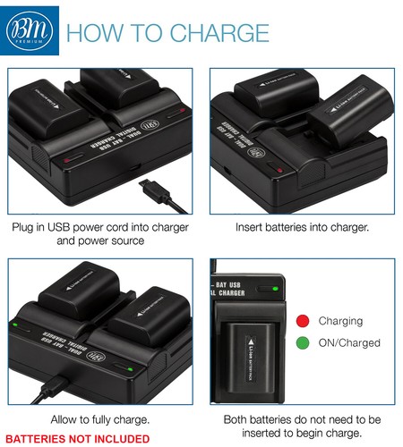 Cargador de batería doble BM para Sony HDR-PJ230 PJ260V PJ380 PJ430V PJ650V PJ760V - Imagen 3 de 6