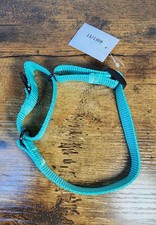 Martingale Dog Collar, M 3/4" 10"-16", Nylon No Buckle, Teal, New