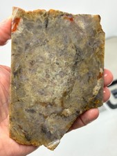 Coprolite Petrified Dino DoDo Slab Cabbing Lapidary Utah Combo Ship Avail