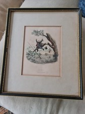 “ In For It “ or Trying the Middle Print with Frame