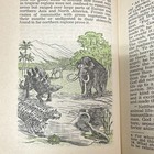 Watch Tower Bible & Tract Society New Heavens and A New Earth Hardcover 1953 — photo 6