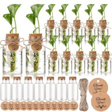 24 Pack Plastic Plant Propagation Stations With Hole Lid Planter Vase Clear