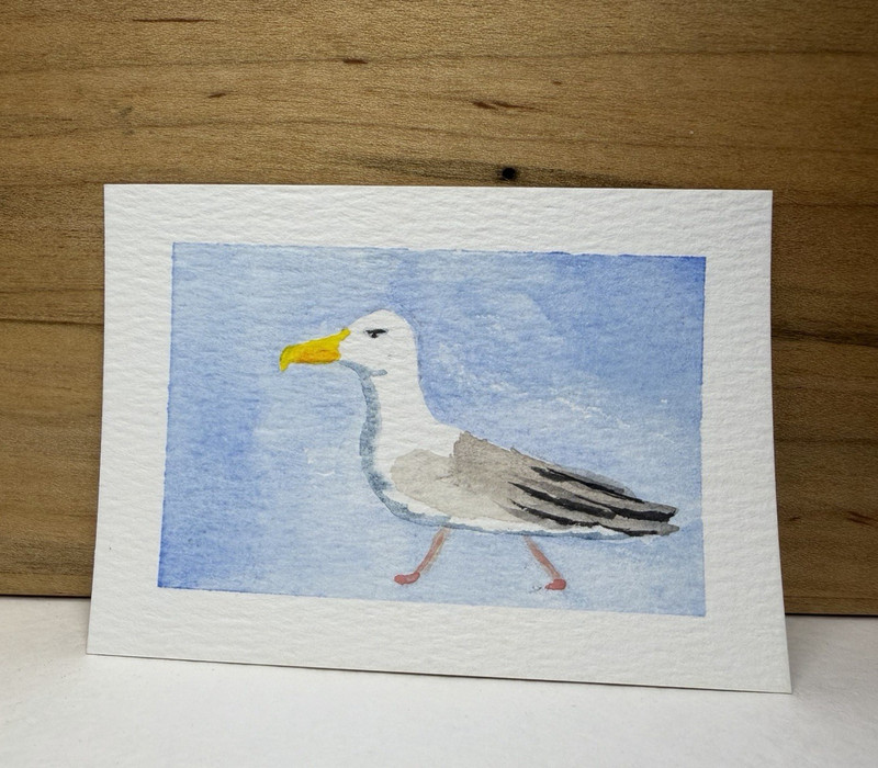 Original ACEO - Watercolor grumpy seagull with blue background by finns.paints