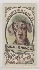 2019 Topps Allen & Ginter Collectable Canines Minis Dachshund #CC-9 0b3