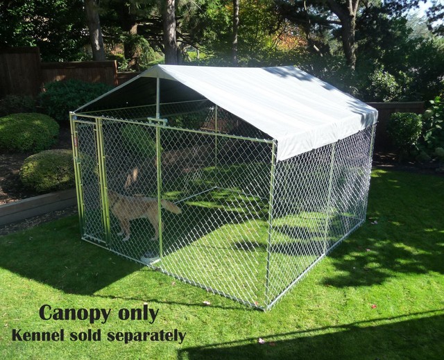 10x10 dog pen