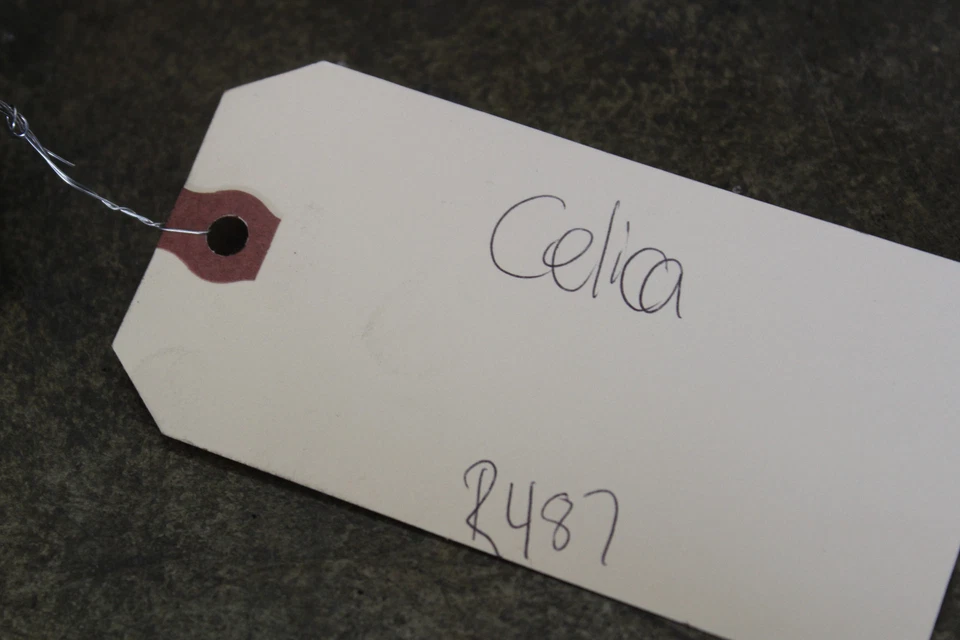 2000-2005 TOYOTA CELICA GT GT-S CRUISE CONTROL MODULE SENSOR R487 - Image 2 of 4