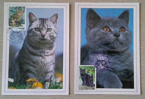 Cartes 1er Jour 1999 Série Nature de France Les Chats "Chartreux Européen" 2/10