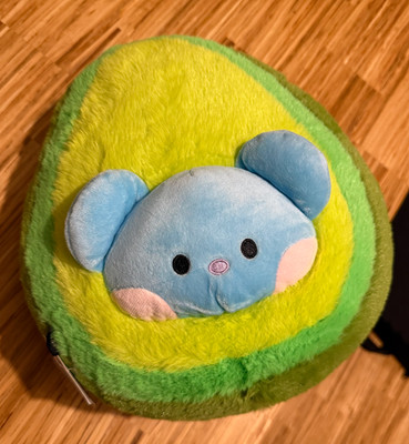 BT21 KOYA and RJ DOUBLE SIDED AVOCADO PLUSH Stuffed Animal Rare HTF