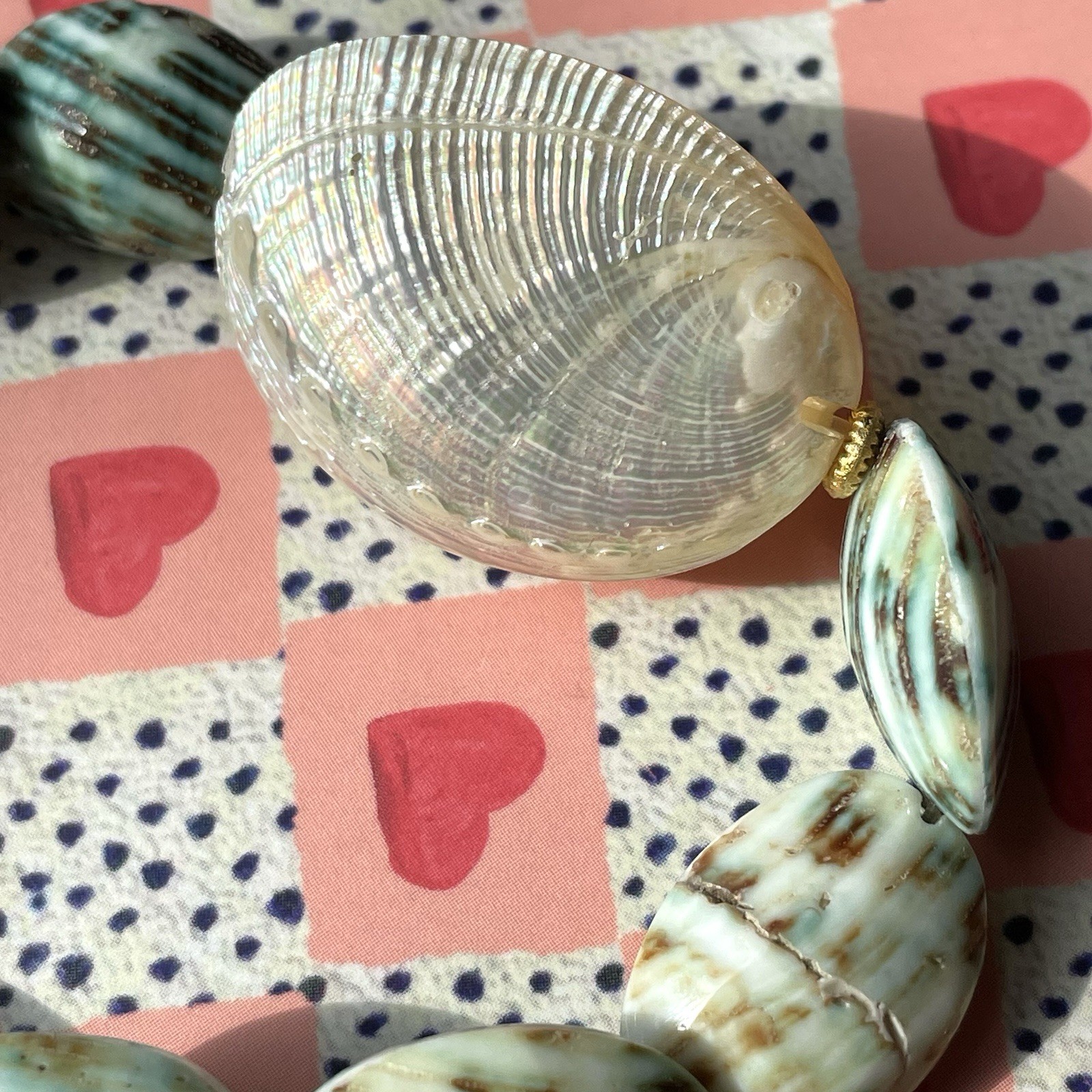 Turbo shell & silver abalone (?) shell stretch br… - image 8