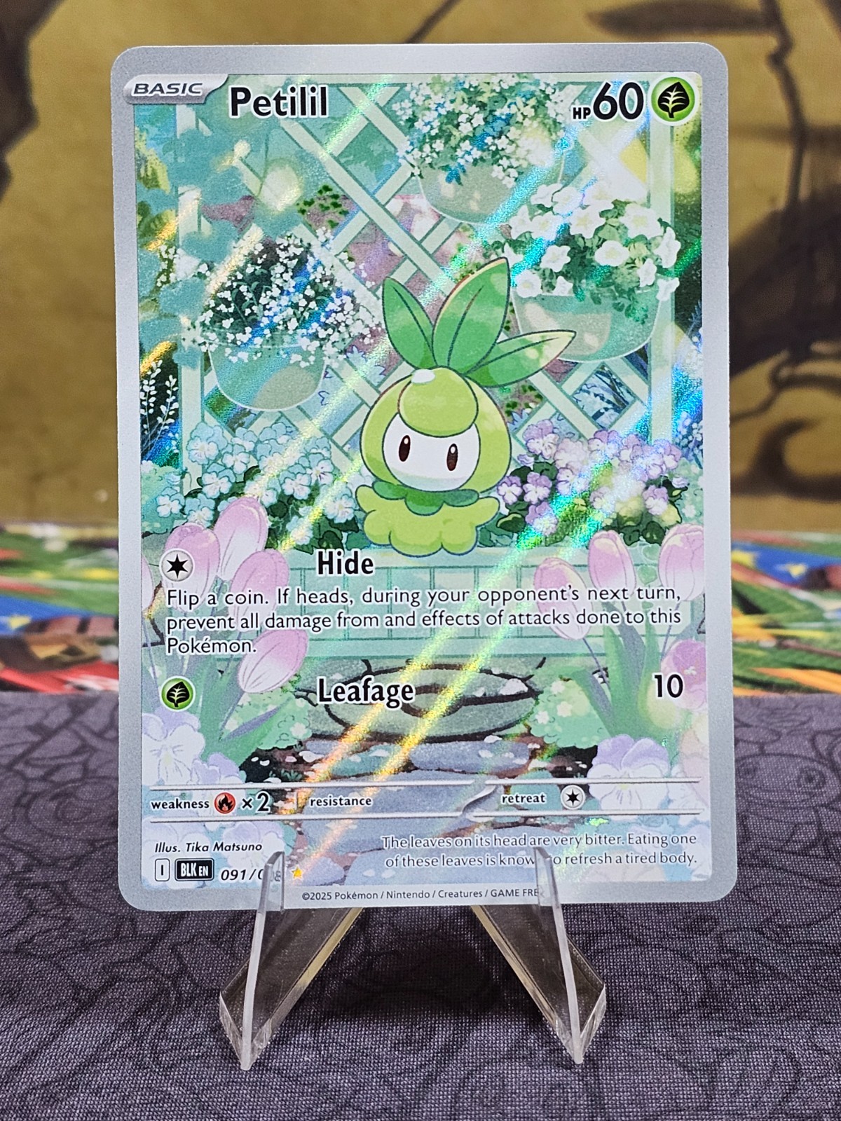 Pokemon TCG Petilil 091/086 Black Bolt Illustration Rare Holo Card NM