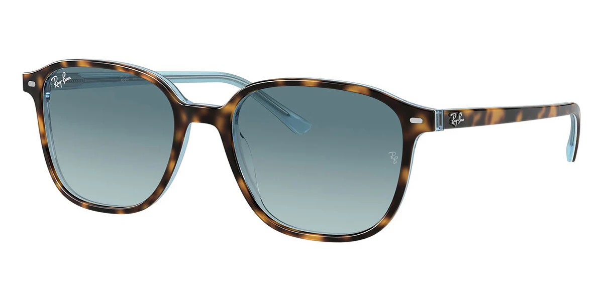 RayBan レイバン サングラス LEONARD RB2193 3 Amazon.com: Ray-Ban Leonard RB2193 901/31 53MM Black/Crystal