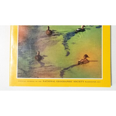 National Geographic Magazine November 1997 Vol 192 No 5 | eBay