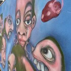 Bild 12 von 14