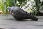 Bild 7 von 11