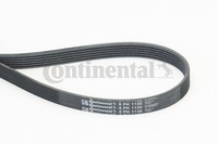6PK1130 Continental Ctam Keilrippenriemen FüR Audi,CitroËN,Cupra,Dacia,Ford Usa,