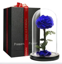 Forever Preserved Rose  in Glass Dome - Beauty and The Beast Rose, Blue 9 Inch