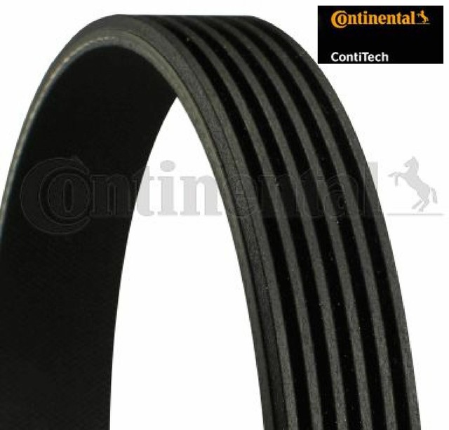 6PK1019ELAST CINGHIA POLY-V CONTITECH NUOVA /& ORIGINALE