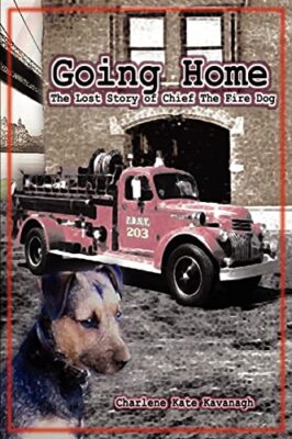 Kavanagh - Going Home The Lost Story of Chief the Fire Dog - New paper - X555z