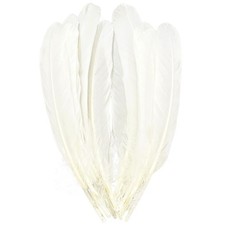 White Feathers,Natural Big Long Goose Feather,8-10 inches Natural