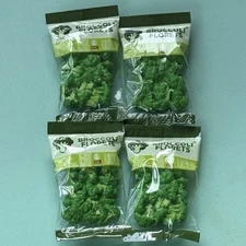 Mini Brands Fill the Fridge Broccoli Florets LOT OF 4