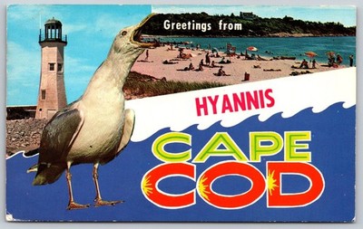 1970 Hyannis Cape Cod MA Lighthouse Beach Seagull Plastichrome Postcard C446