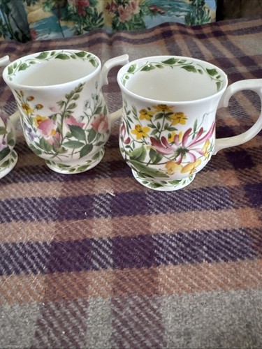 Queen's The Royal Horticultural Society The Garden Collection 4 Cups Mugs - Picture 3 of 12