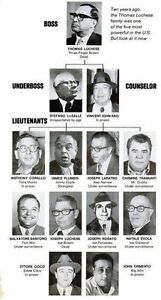 Crime Family Chart