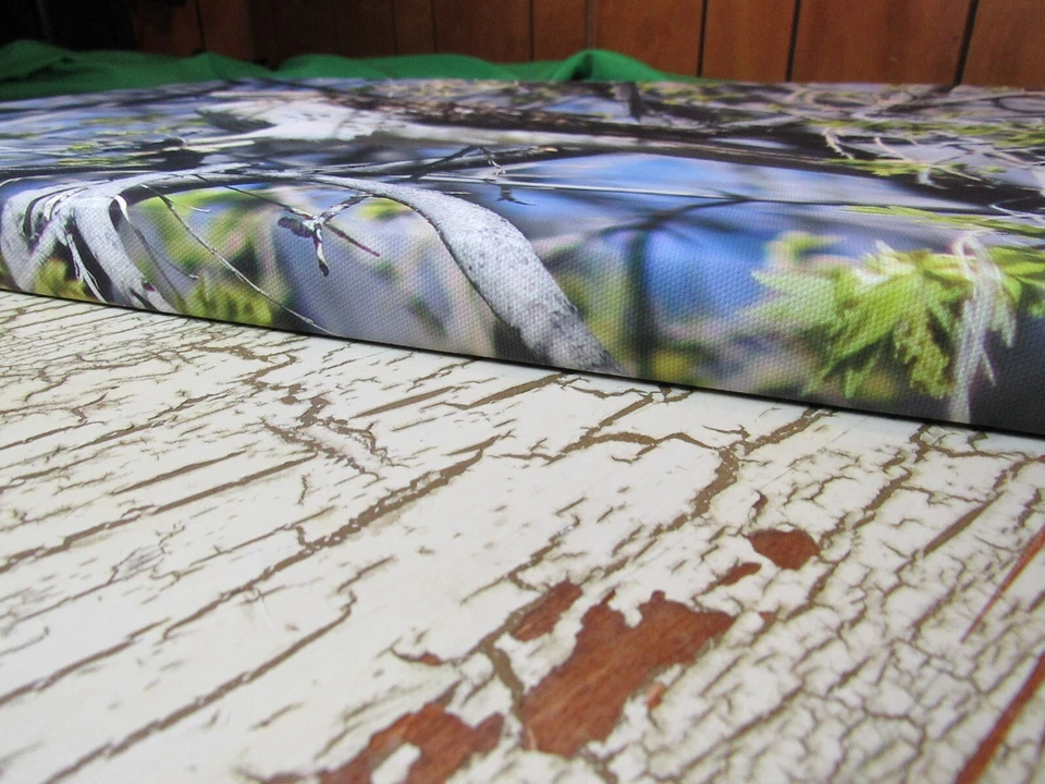 Puesta de sol dorada: lona Foto 4 de 4