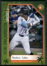 2025 Florida State  Top Prospects FSL 2nd Andrew Salas RC Rookie Marlins Minor