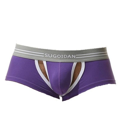 Evankin Men's Hollow Out Boxer Briefs Sexy Cotton Underwear Medium, Purple 