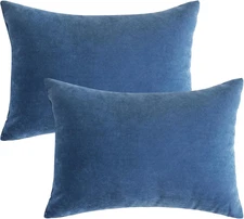 2 Pcs Small Pillows down Alternative Microfiber Mini Pillows Soft Machine Washab