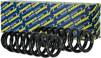 2X Japanparts Federn Fahrwerksfedern Hinten FüR VW Sharan 7N 7N1 7N2 Seat