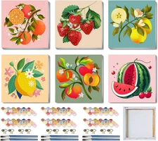 6 Pack Framed Paint by Numbers Kit for Kids,Easy Acrylic Paint by Numbers Kits o