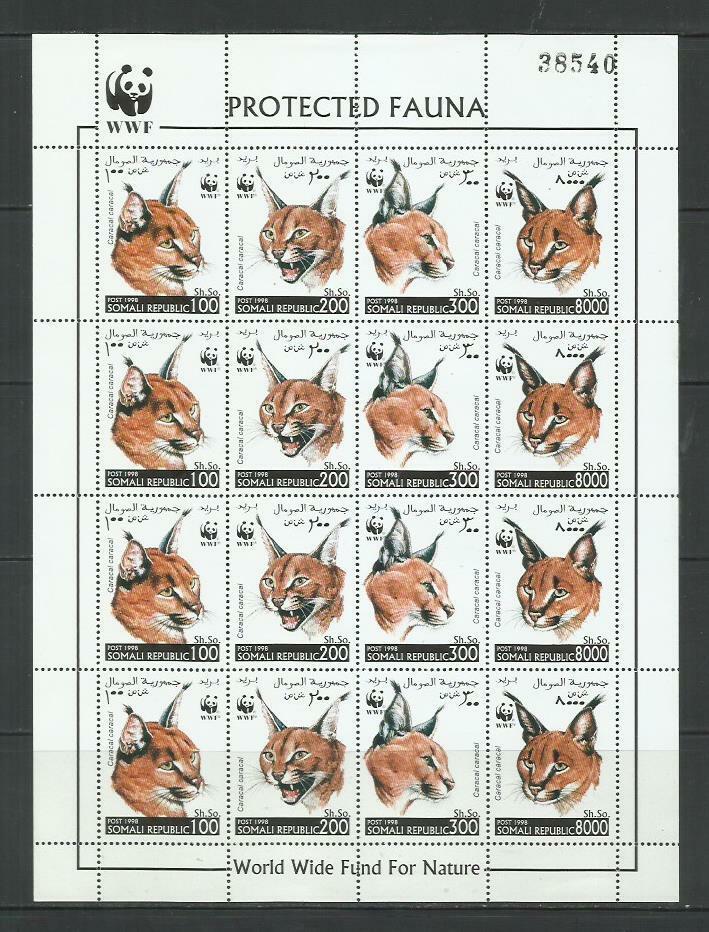 Foto 1 di 1