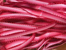 vintage embroidery trim 1/4" flower picot edge pink to red ribbon 1yd France