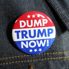 Dump Trump Now! | Pinback Button Anti Trump Drumpf Not My President 