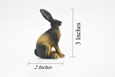 Jackrabbit, Rabbit, Hare, Bunny, Realistic Rubber Model, Hand