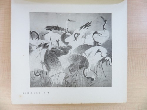 Chukei Nakano "Old Paintings of Birds and Animals" (6 volumes in total) Limited - Picture 7 of 10