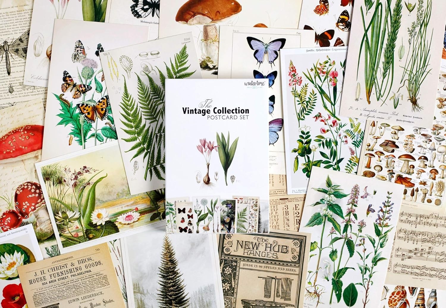 30 Unique Vintage Botanical Postcards: Semi-Gloss, High-Resolution Art Cards