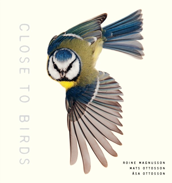 Close to Birds: An Intimate Look at Our Feathered  by Roine Magnusson HARDBACK