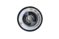 Thermostat Citroen C-CROSSER
