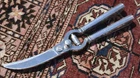 Gorham RARE ETRUSCAN 1913 STERLING 10 1/8" POULTRY SHEARS look & feel SHARP $50