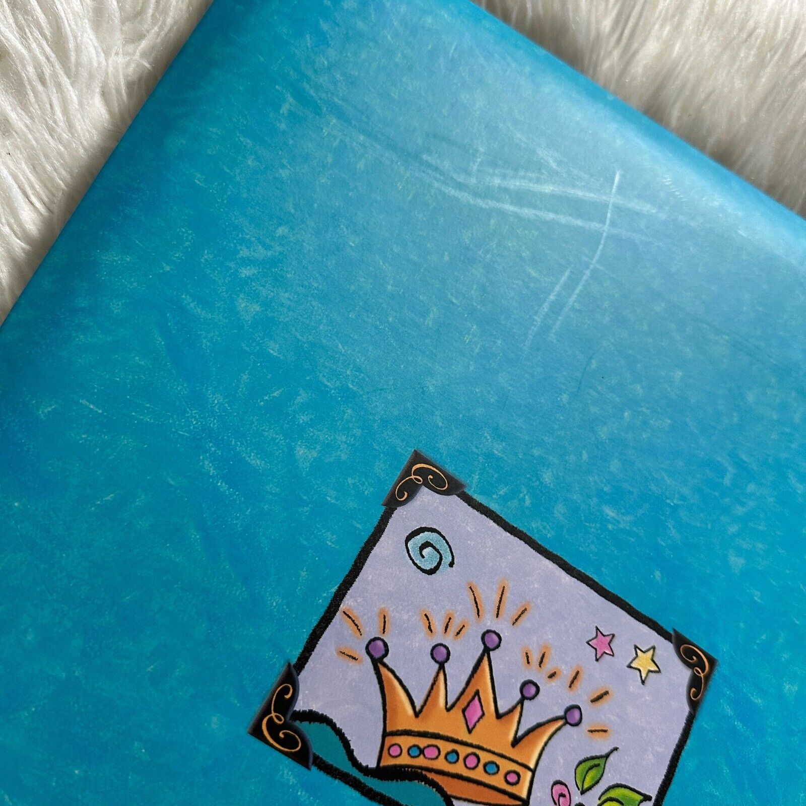 Picture 17 of 17