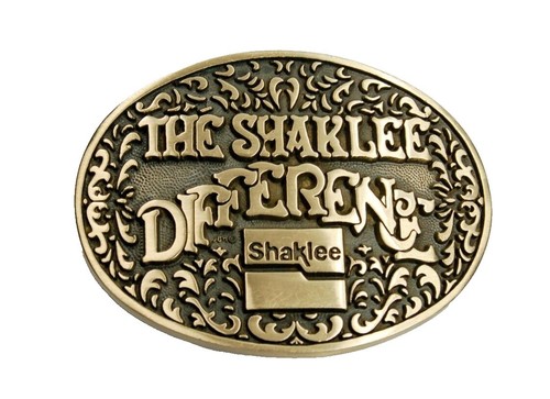 Vintage Brass Combo Metal Hammered Handmade Belt Buckle  display picture 1