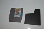 NINTENDO NES  SUPER MARIO BROS 2 Video Game Cartridge only- TESTED    (DCX97)
